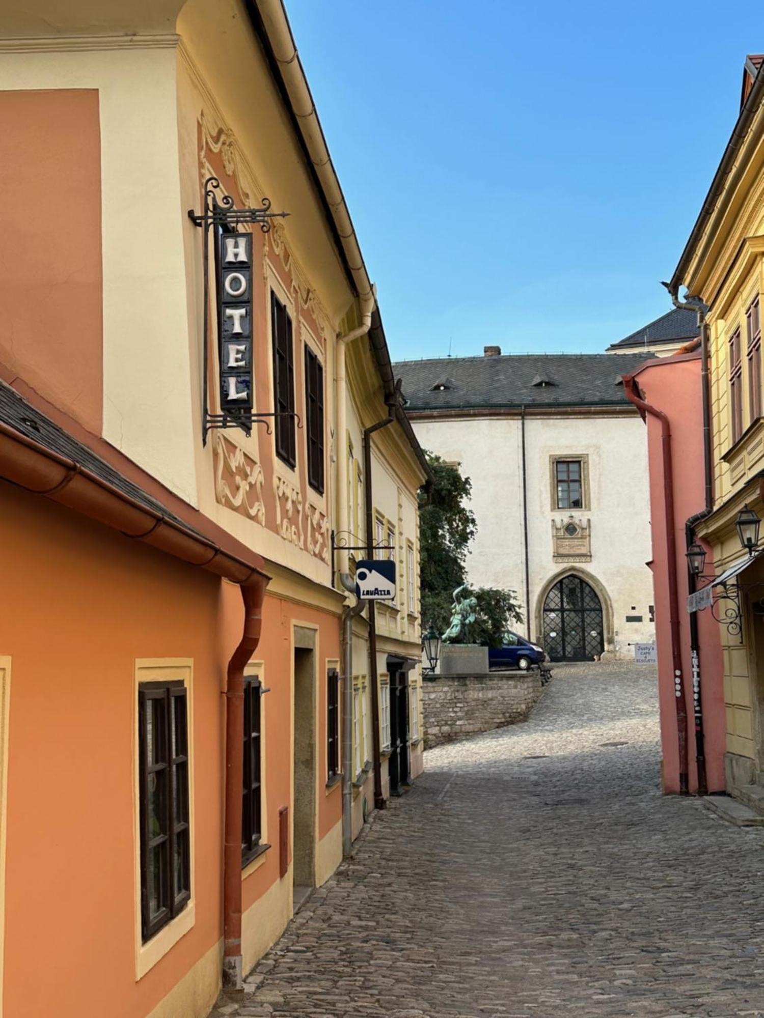 Penzion Hrncir Kutna Hora Bagian luar foto